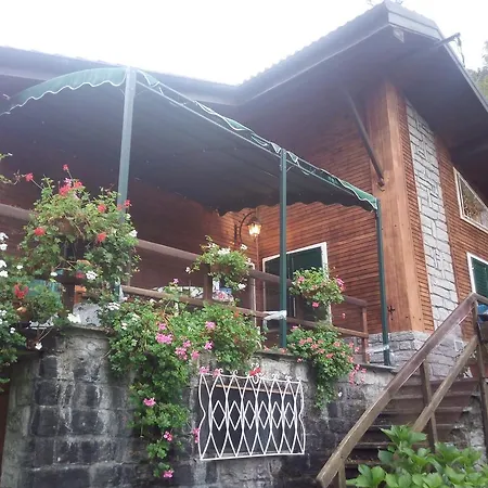 Domek alpejski Chalet 