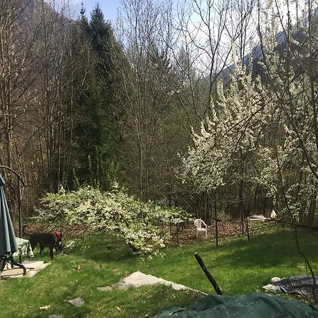 Domek alpejski Chalet 