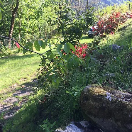 Domek alpejski Chalet 